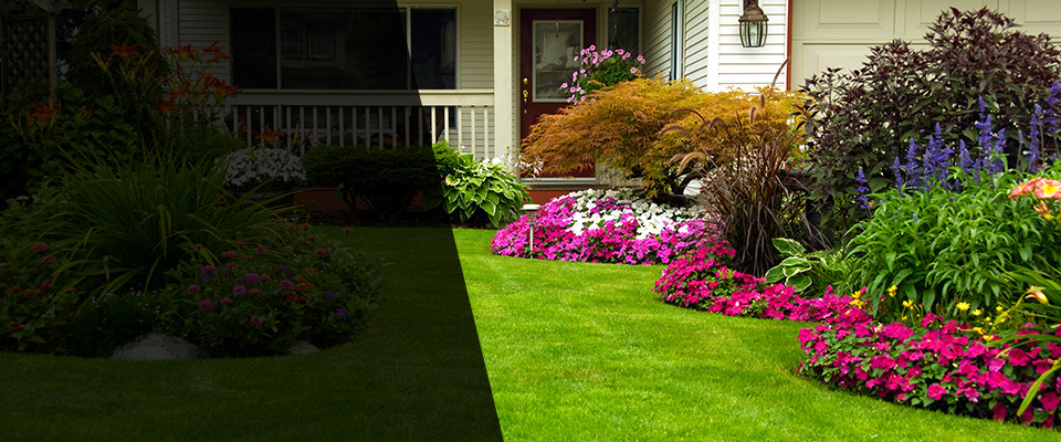 York Landscapers